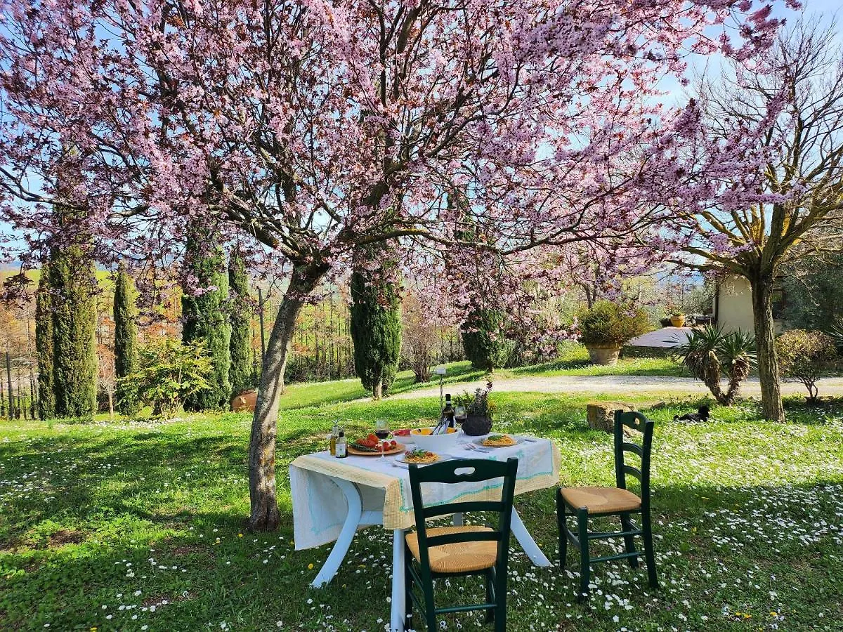 Apartment Agriturismo Lucertola Montecatini Val di Cecina Italy